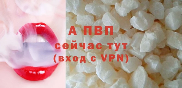 ПСИЛОЦИБИНОВЫЕ ГРИБЫ Бородино