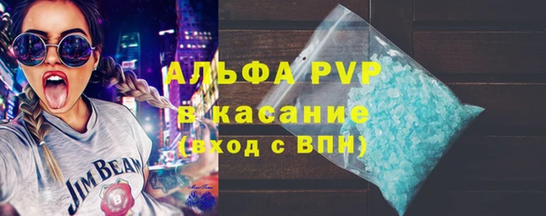 ПСИЛОЦИБИНОВЫЕ ГРИБЫ Бородино