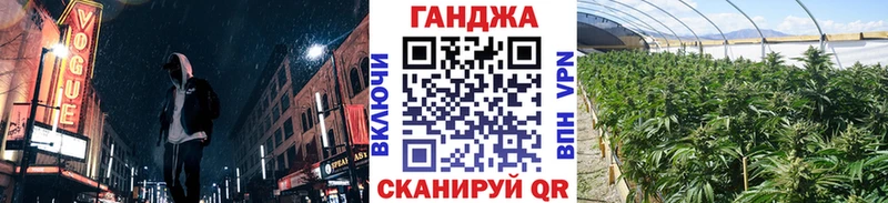 Конопля OG Kush Энгельс